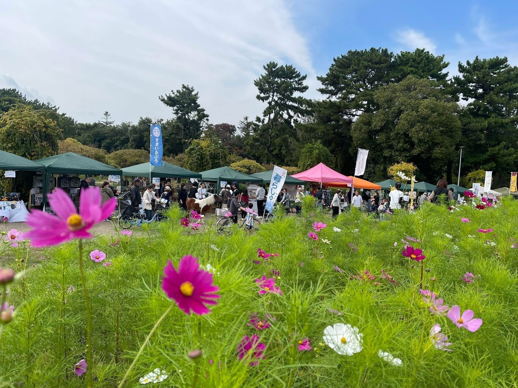 大阪11月辦日本最大寵物社交嘉年華「Animal Baton Festa 2026」免費入場